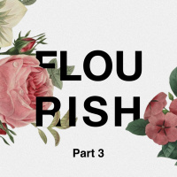 Flourish - Part 3