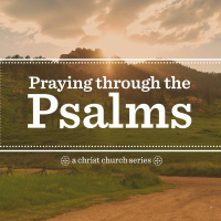 Tommy Park - Psalm 52