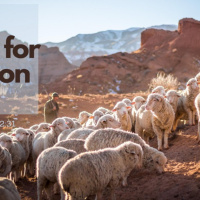 Exodus 20:18-22:31 Gods Heart for Relationships