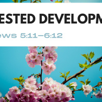 Episode 149: Hebrews 5:11 - 6:12 Arrested Development