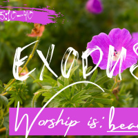 Exodus 25: Worship is...beautiful