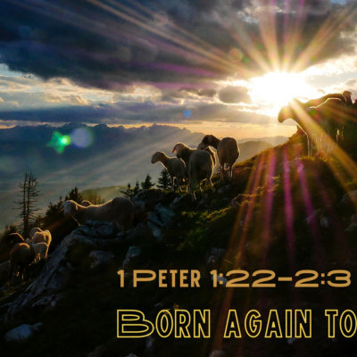 Calvary Chapel San Ramon Podcast