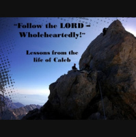 Follow the LORD- Wholeheartedly - Audio