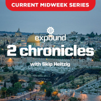 2 Chronicles 18-19