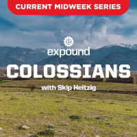 Colossians 1:28-2:23