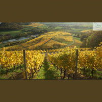 Blessed, Fruitful and Virtuous