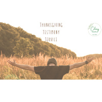 Thanksgiving Testimonies