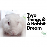 Two Things  A Rabbit Dream