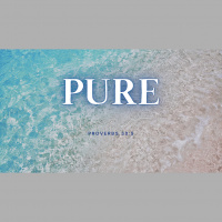 THE PURE WORD OF GOD