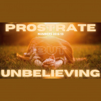 Prostrate But Unbelieving
