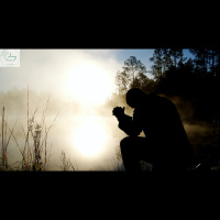 The Thankful Gentiles