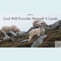God Will Provide Himself a Lamb