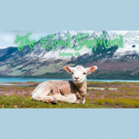 The Good Shepherd