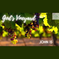 God’s Vineyard