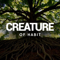 Creature of Habit WEEK 2