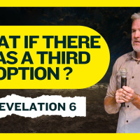 What If There Was A Third Option?