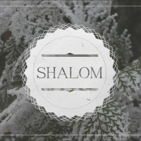 Shalom Week 1 // 11.30.15