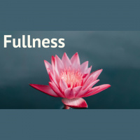 Fullness - Colossians 2:6-23 - Matt Aroney - CiG - Audio