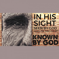 Seen by God - Psalm 139 - Matt Aroney - CiG - Audio