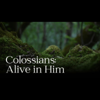 Colossians 2:6#x201315 - Andrew Errington - Newtown Morning Church - 25 May 2025 - Audio