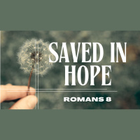 Romans 8:1#x20134 - Andrew Errington - Newtown Morning Church - 27 October 2024 - Audio