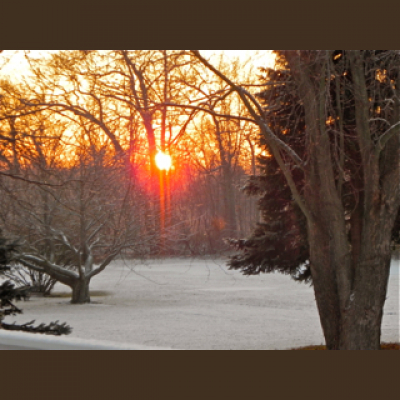 Simply Delicious Living With Maryann®