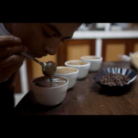 IF Campaign: ‘Spilling the beans’ on tax dodging