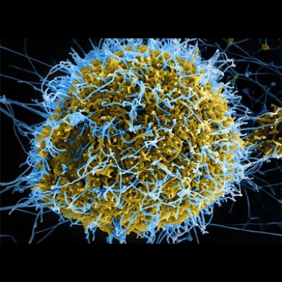 Christian Aid Global