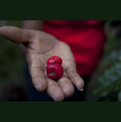 Christian Aid Global