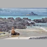 Episode #8 - Where Else to Go: Galapagos Islands, Ecuador