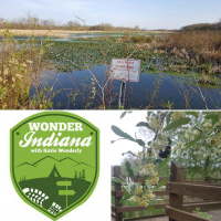 Paradise at the Pisgah Marsh and Boardwalk - Episode 10