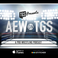 AEW ON TGS Revolution 2024 Preview