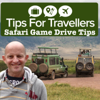 Safari Game Drive Tips For Travellers Podcast #268