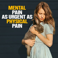 #477 Mental Pain as Urgent as Physical Pain