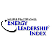 Walk Your Talk With LeAnne: What Is This Coach Up To In 2015 Anyway!