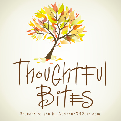Thoughtful Bites