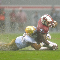 Week 6: The Champ has a Stink