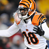 Week Nine: Breaking the Silence