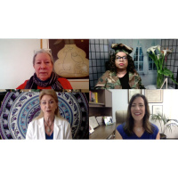 Podcast Potluck #17 2 Doctors and a Nurse make a House Call On the Edge Covid-19