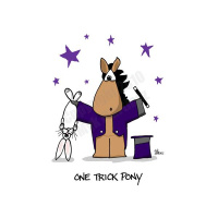 Are you a 1 Trick Pony, Stallion or a Jackass, Teachable Moment #21 on the edge