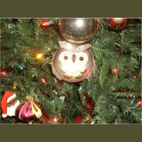 Bedtime Snuggle Up, Holiday bedtime stories read on the edge