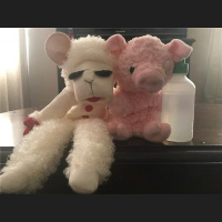 How to introduce the conversation  create dialog with children about sex