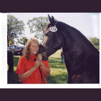 Chiropractic and acupressure therapy for animal with Dr. Linda Stoeckman Hansen