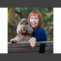 Computer bits to K9 Bytes entrepreneur Shannon Barnard is walking the dog