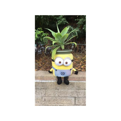 On The Edge With April Mahoney