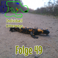 Folge 49 - Rückblicke und Ausblicke auf der Hausstrecke