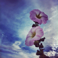 Camino a casa de Ana 