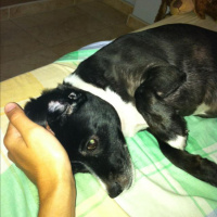 Sin ganas de saltar de la cama :(