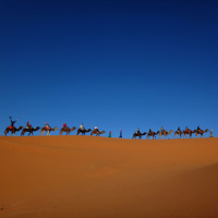 The Wonderful World of Photography Workshops