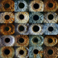 The Eyes Have it—Ophthalmic Photography, with Mark Maio